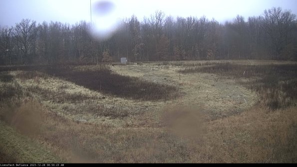 Cell 4_23-12-28_08-50-23-60