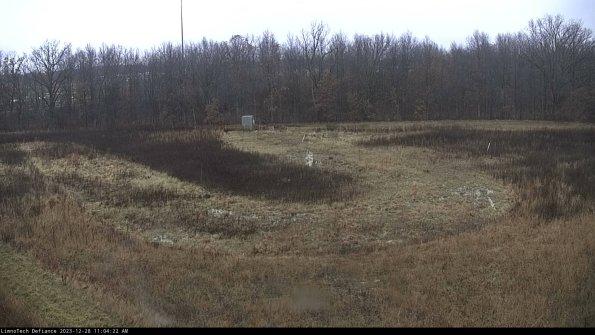 Cell 4_23-12-28_11-04-22-60