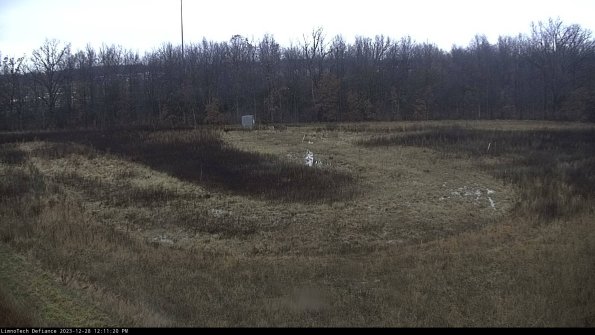 Cell 4_23-12-28_12-11-20-59