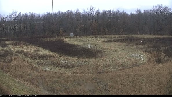 Cell 4_23-12-28_13-51-49-64