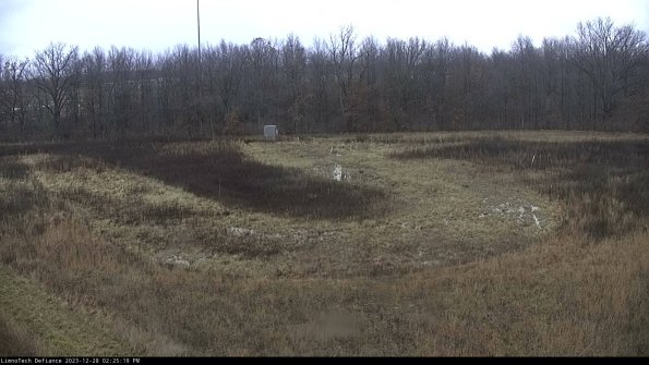 Cell 4_23-12-28_14-25-19-62