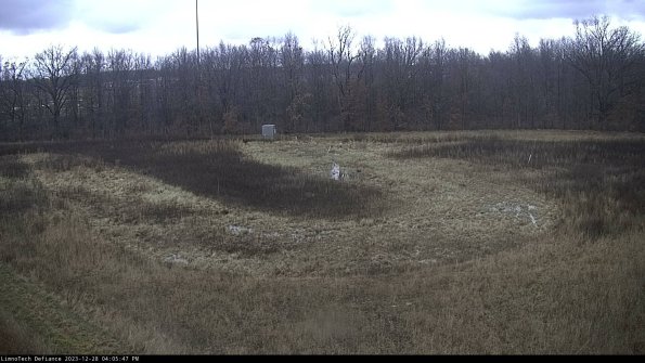 Cell 4_23-12-28_16-05-47-64