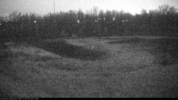 Cell 4_23-12-28_17-46-16-62