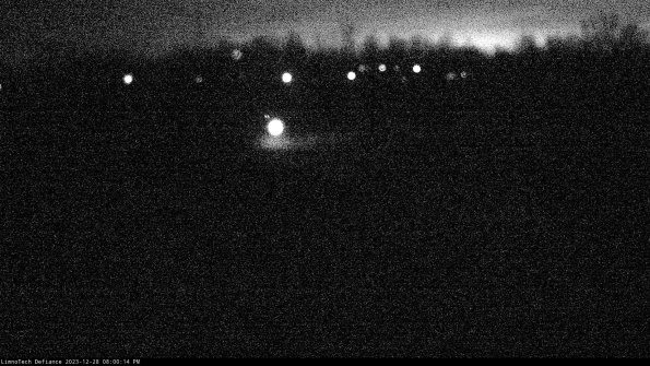 Cell 4_23-12-28_20-00-14-61