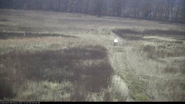 Cell 1 to 2_23-12-29_08-49-28-62