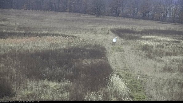 Cell 1 to 2_23-12-29_10-29-56-63