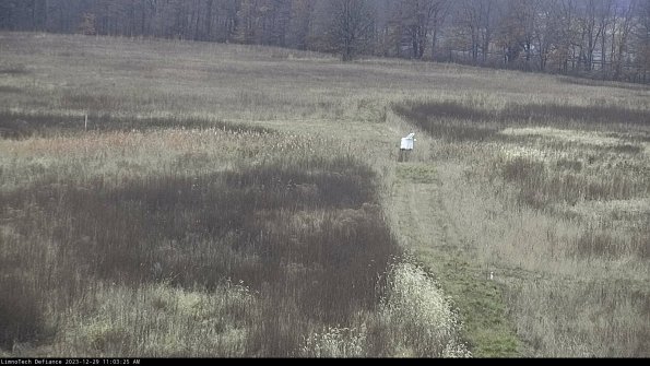 Cell 1 to 2_23-12-29_11-03-25-61