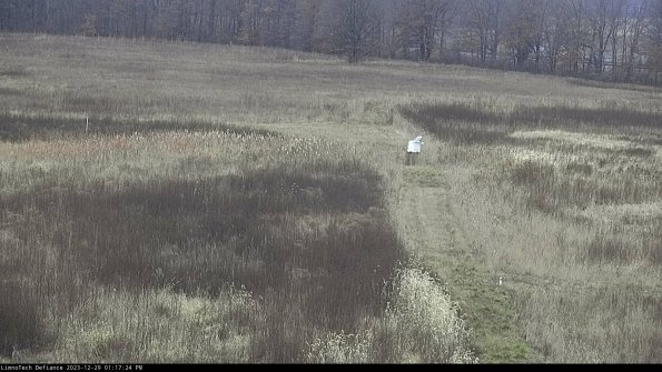 Cell 1 to 2_23-12-29_13-17-24-60