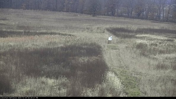 Cell 1 to 2_23-12-29_14-24-21-63