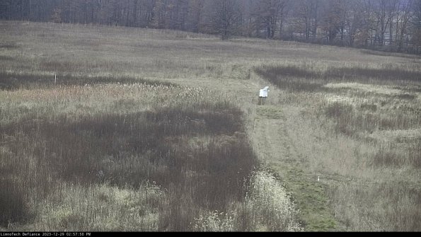 Cell 1 to 2_23-12-29_14-57-50-61