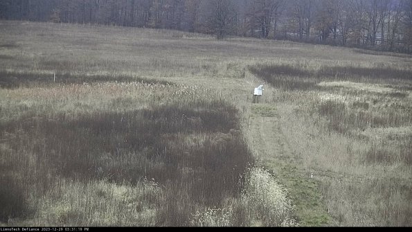 Cell 1 to 2_23-12-29_15-31-19-59