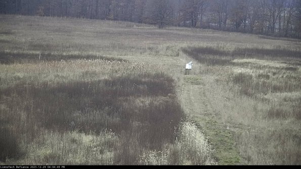 Cell 1 to 2_23-12-29_16-04-49-60