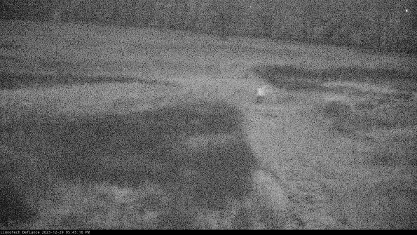 Cell 1 to 2_23-12-29_17-45-16-64