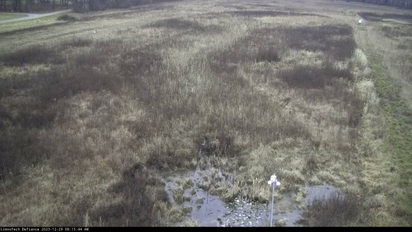 Cell 1_23-12-29_08-15-44-63