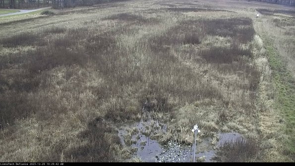 Cell 1_23-12-29_10-29-42-61