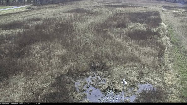 Cell 1_23-12-29_13-17-10-62