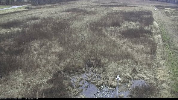 Cell 1_23-12-29_14-24-07-61