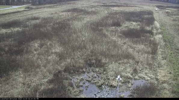 Cell 1_23-12-29_15-31-05-61