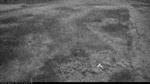 Cell 1_23-12-29_17-45-02-63