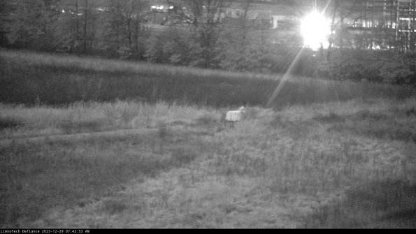 Cell 2 to 3_23-12-29_07-42-53-62