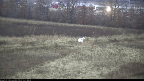 Cell 2 to 3_23-12-29_08-16-24-77