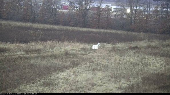 Cell 2 to 3_23-12-29_08-49-54-75