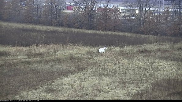 Cell 2 to 3_23-12-29_09-23-24-66