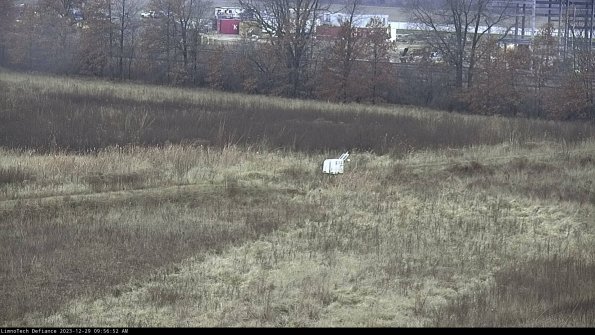 Cell 2 to 3_23-12-29_09-56-52-81