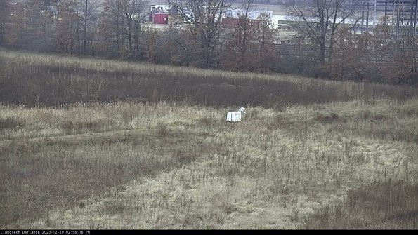 Cell 2 to 3_23-12-29_14-58-16-73