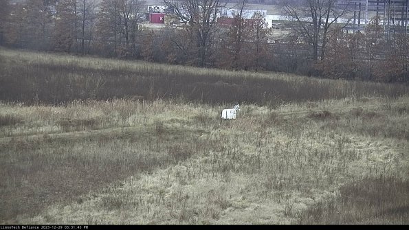 Cell 2 to 3_23-12-29_15-31-45-82