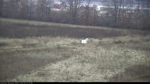 Cell 2 to 3_23-12-29_17-12-13-69