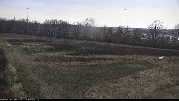 Cell 2_23-12-29_08-49-41-63