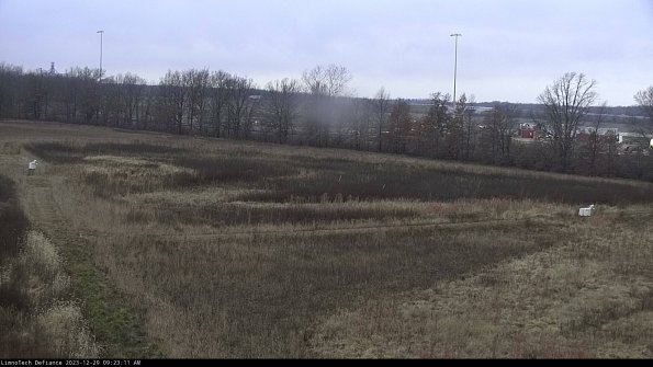 Cell 2_23-12-29_09-23-11-61