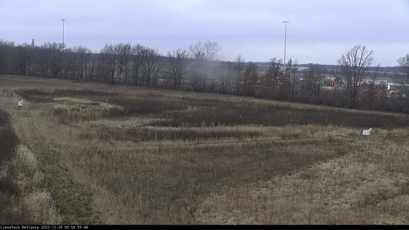 Cell 2_23-12-29_09-56-39-69