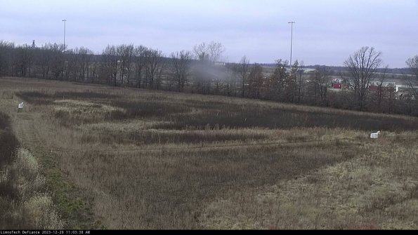 Cell 2_23-12-29_11-03-38-65