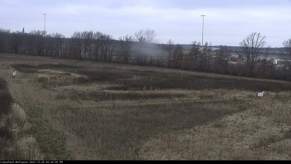 Cell 2_23-12-29_14-24-34-64