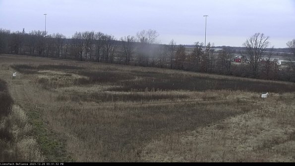 Cell 2_23-12-29_15-31-32-70