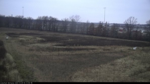 Cell 2_23-12-29_17-12-00-64