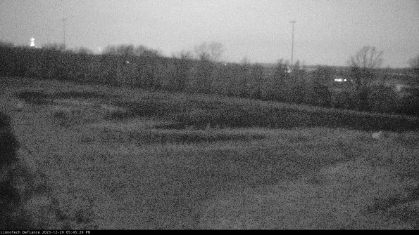 Cell 2_23-12-29_17-45-29-69