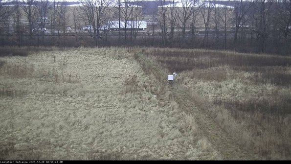 Cell 3 to 4_23-12-29_08-50-23-61