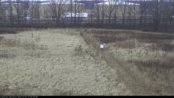 Cell 3 to 4_23-12-29_12-44-49-61