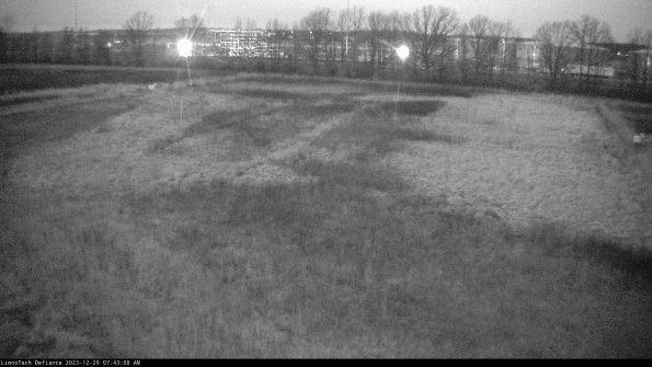 Cell 3_23-12-29_07-43-08-60