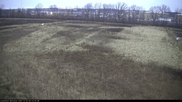 Cell 3_23-12-29_08-16-39-61