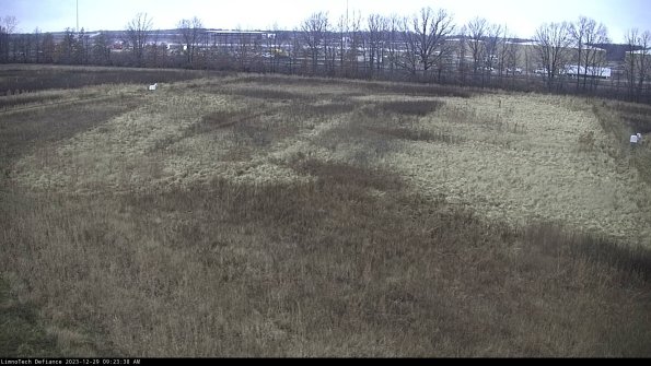 Cell 3_23-12-29_09-23-38-84