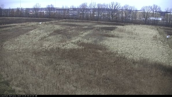 Cell 3_23-12-29_09-57-07-62