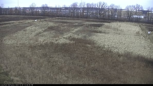 Cell 3_23-12-29_12-44-35-60