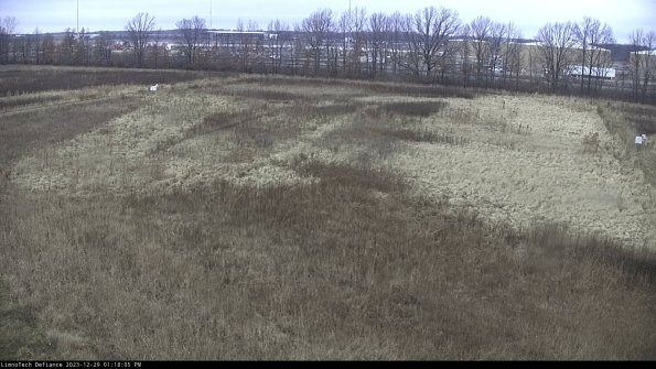 Cell 3_23-12-29_13-18-05-61