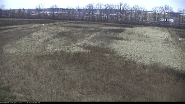 Cell 3_23-12-29_14-25-01-87