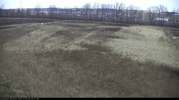 Cell 3_23-12-29_14-58-31-62