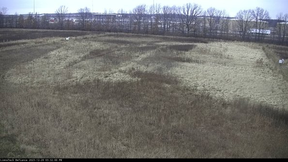 Cell 3_23-12-29_15-32-00-60